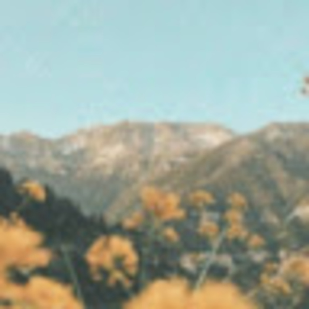 Meet your Posher, Elise